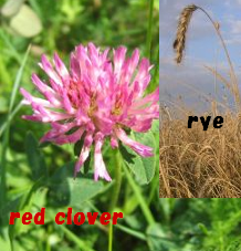 �C���[�W��